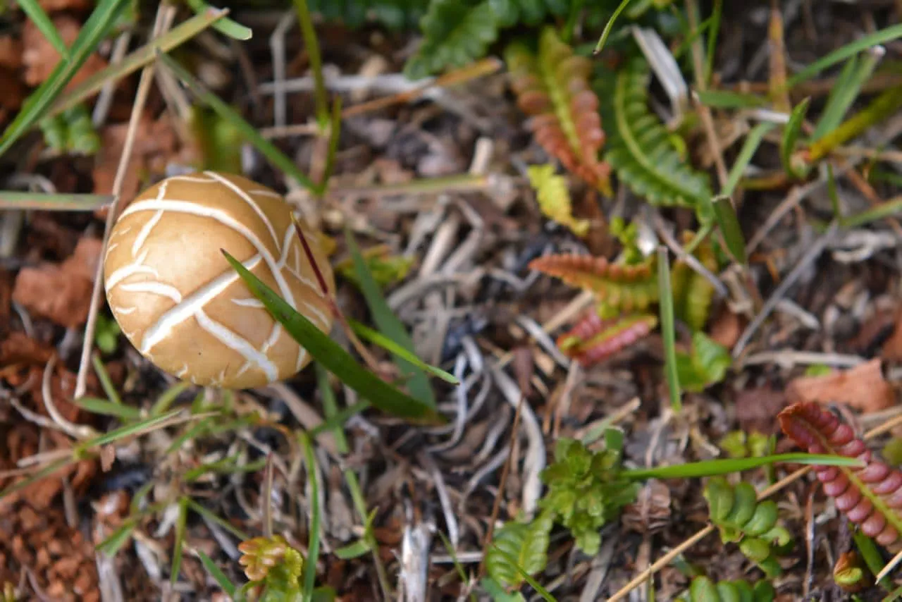 photo_2022-01-03_19-19-54