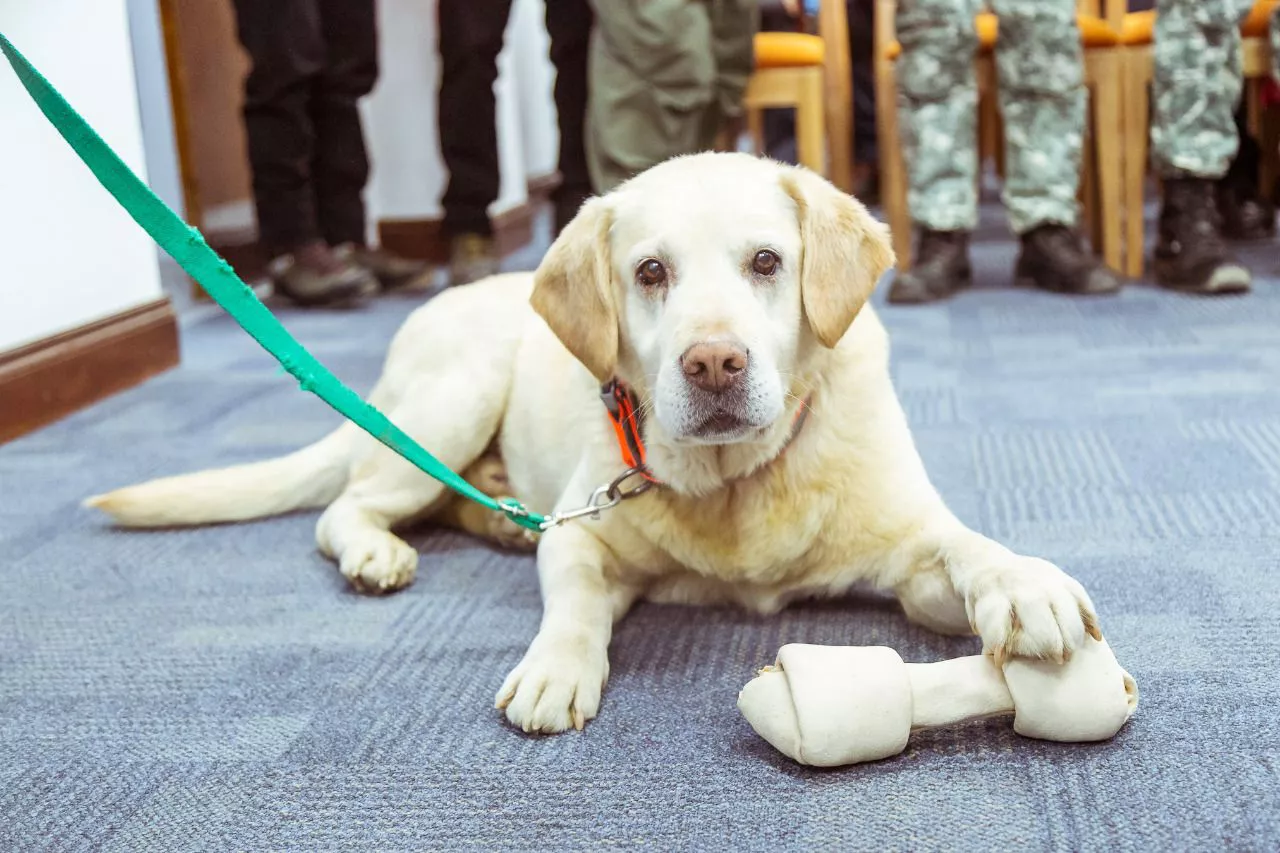 photo_2022-07-20_11-14-06