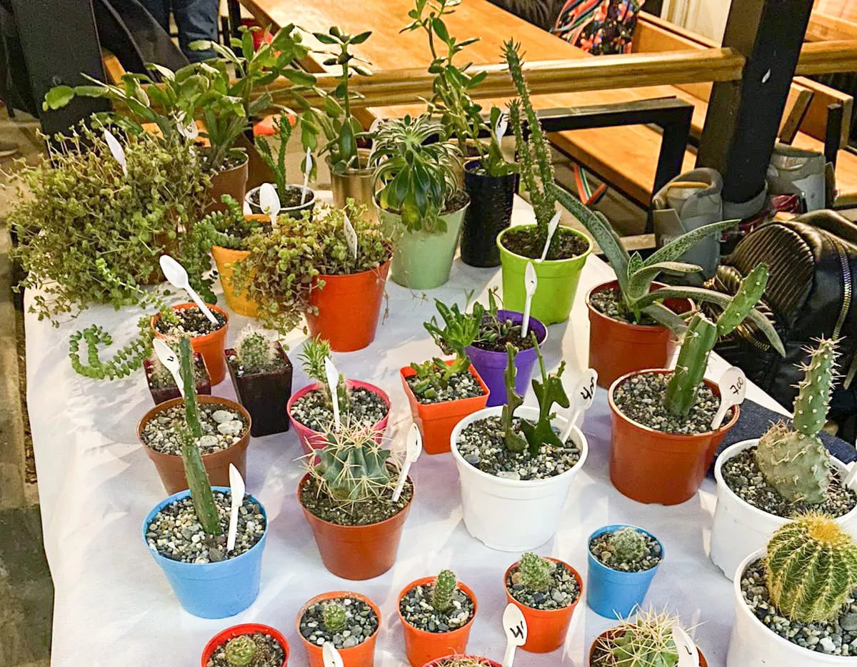 photo_2022-04-28_15-02-43