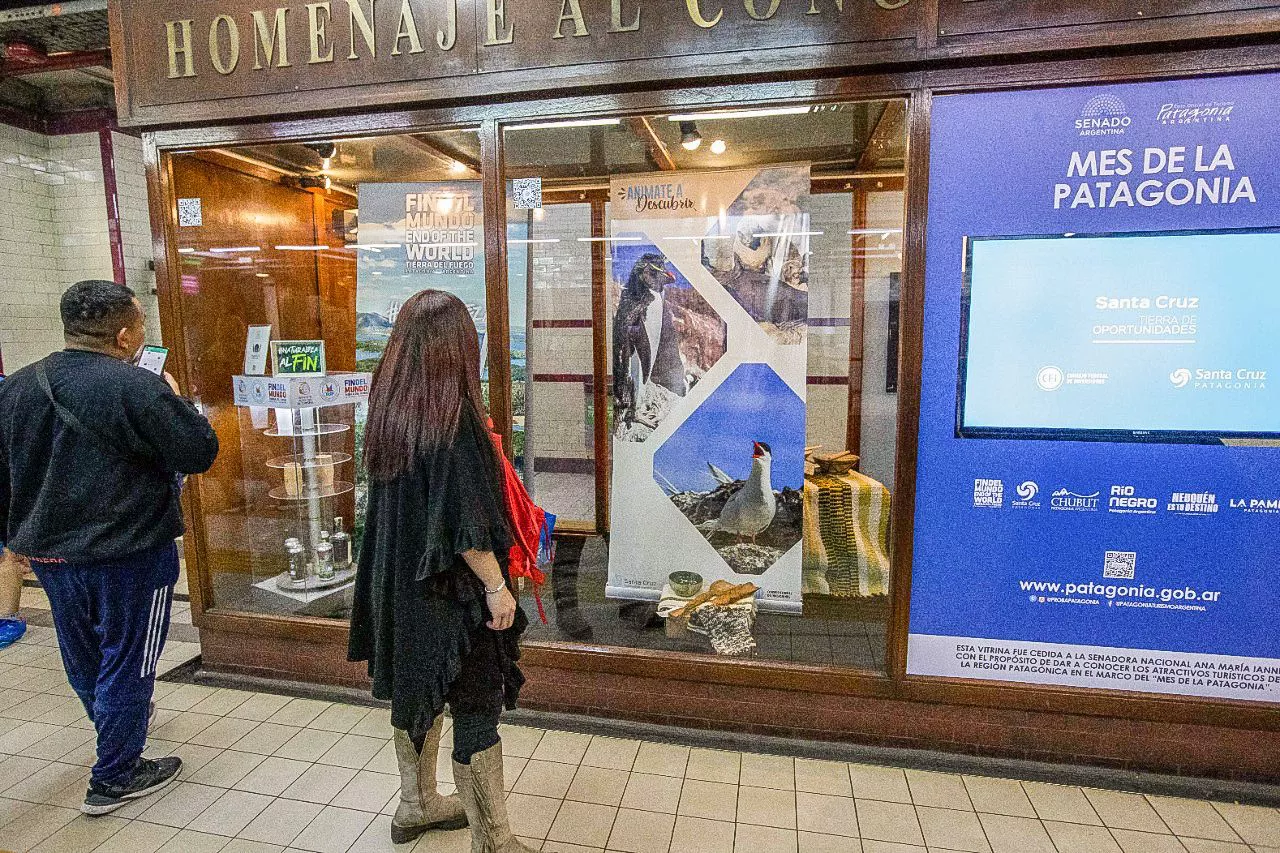 photo_2022-11-01_11-20-25