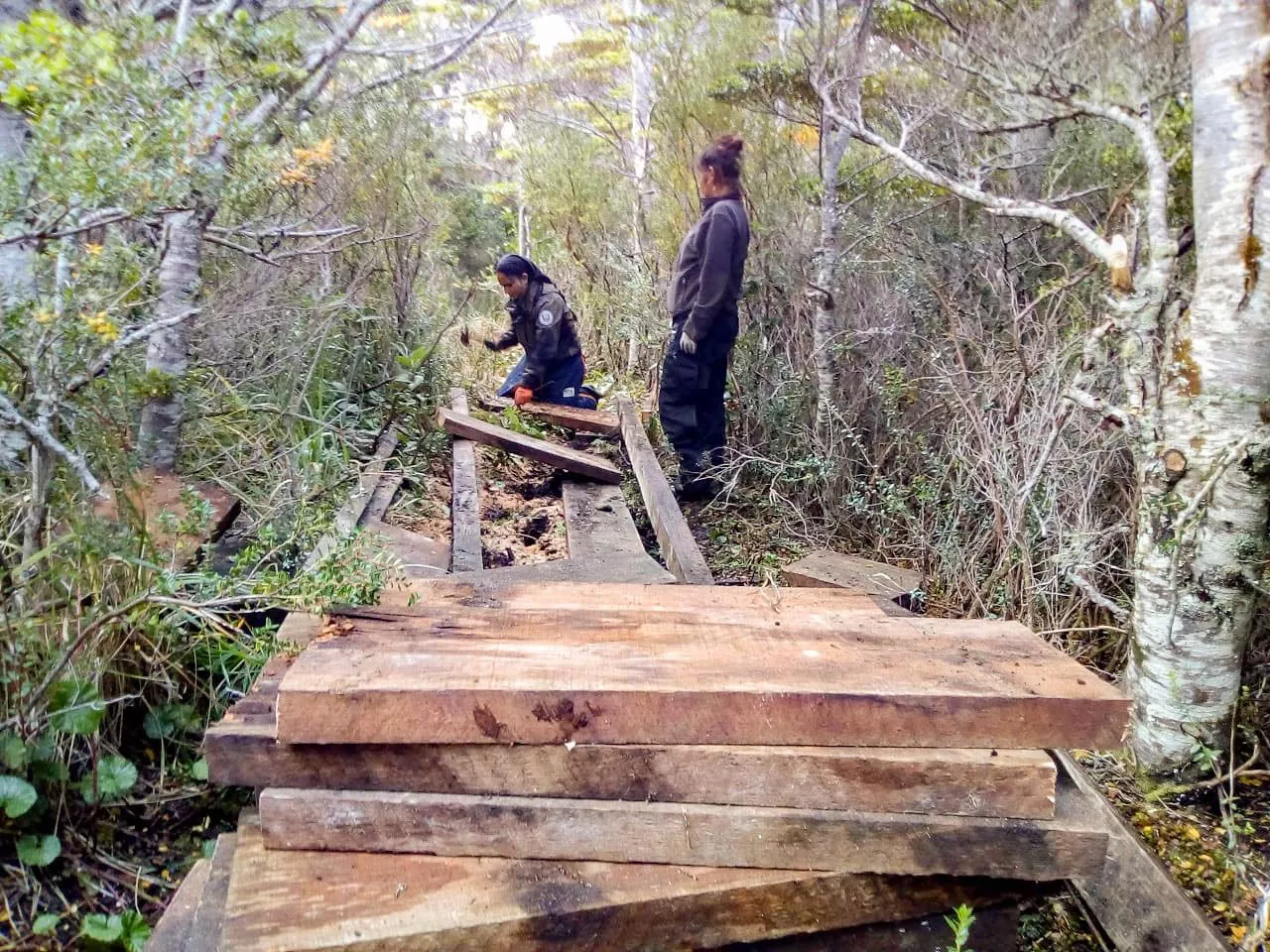 photo_2022-05-03_10-36-44