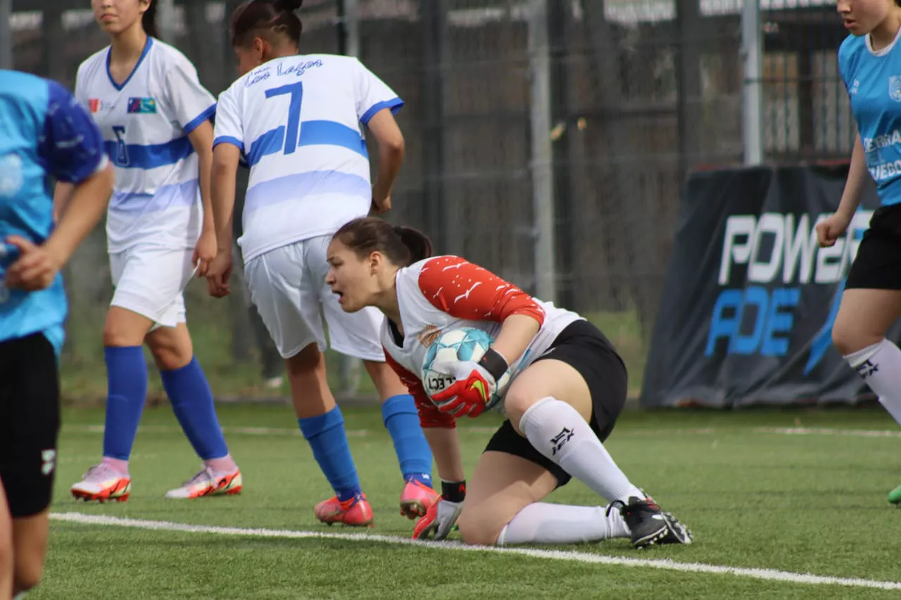 photo_2022-11-18_12-46-22