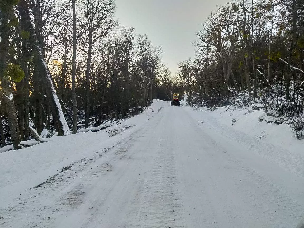 photo_2022-06-24_16-05-37