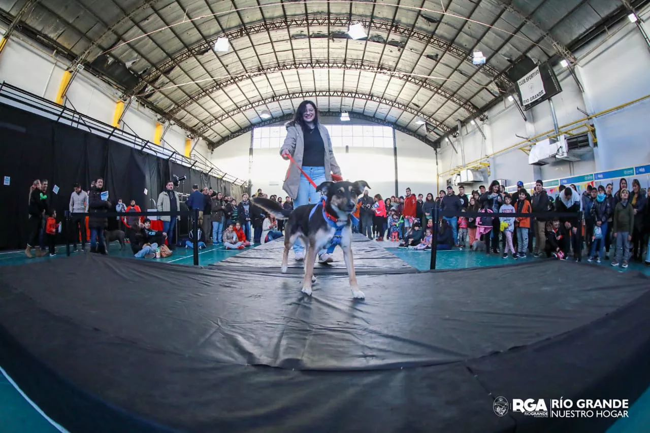 photo_2022-05-09_15-09-28