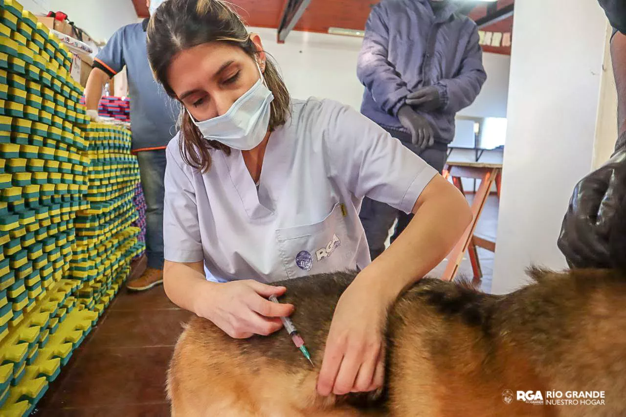 photo_2022-05-30_16-48-44