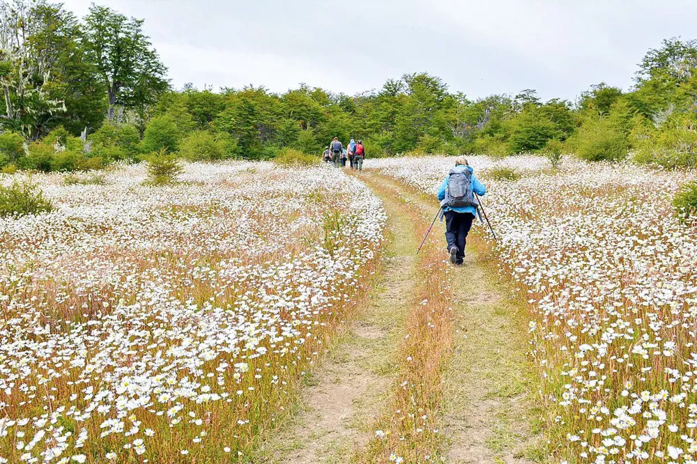 photo_2022-09-15_10-55-37