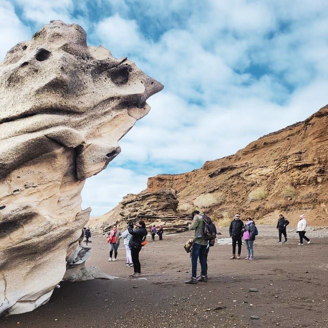 photo_2023-03-08_12-56-18