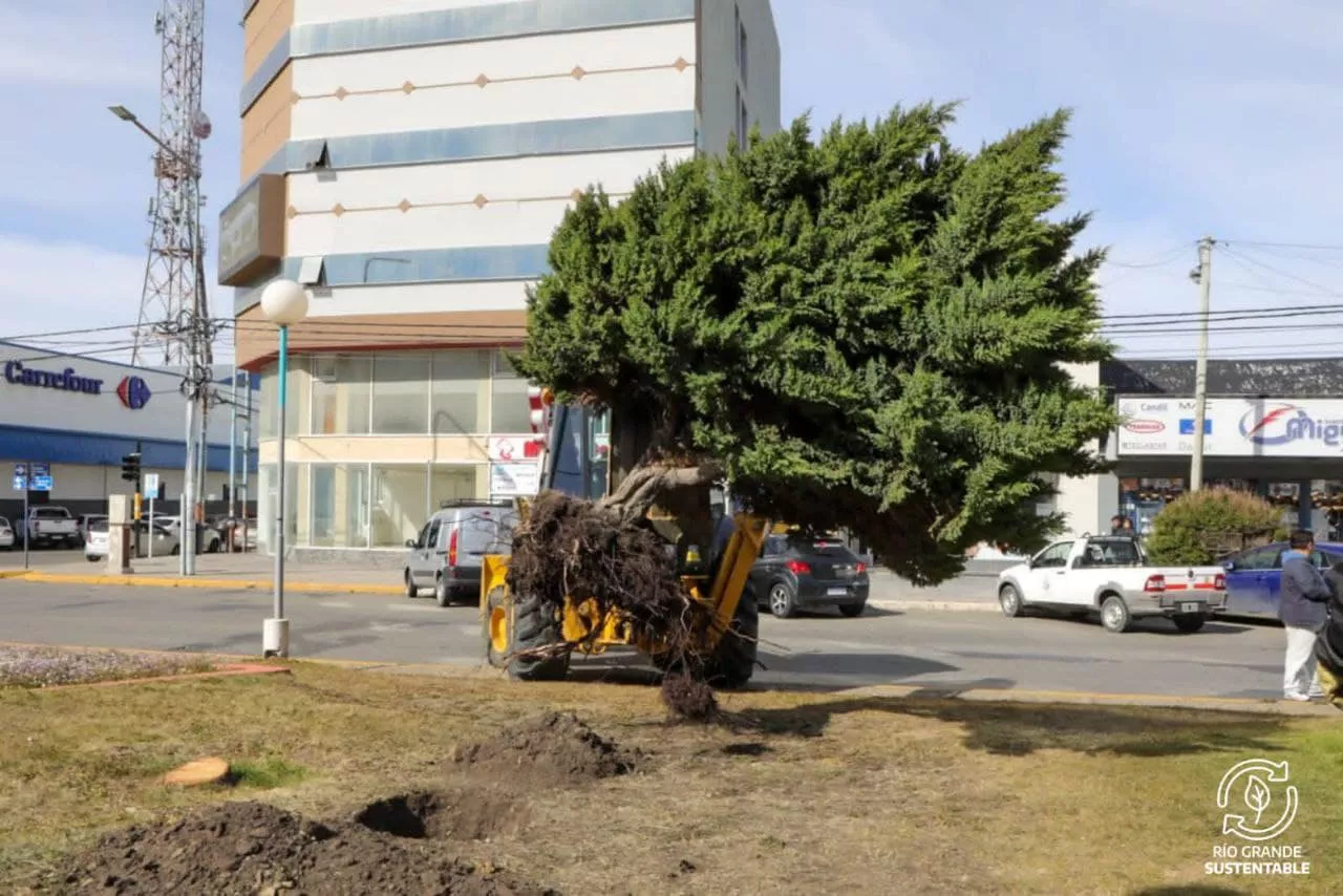 photo_2022-01-14_20-09-38