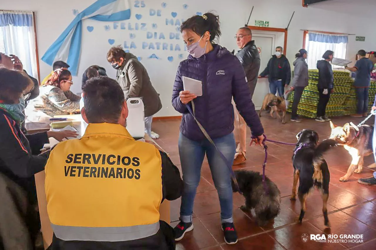 photo_2022-05-30_16-48-43