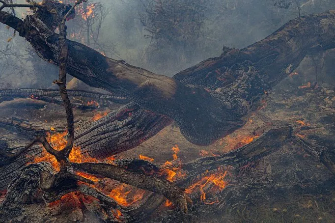 317967343_1355135051965100_1760312199039115705_n