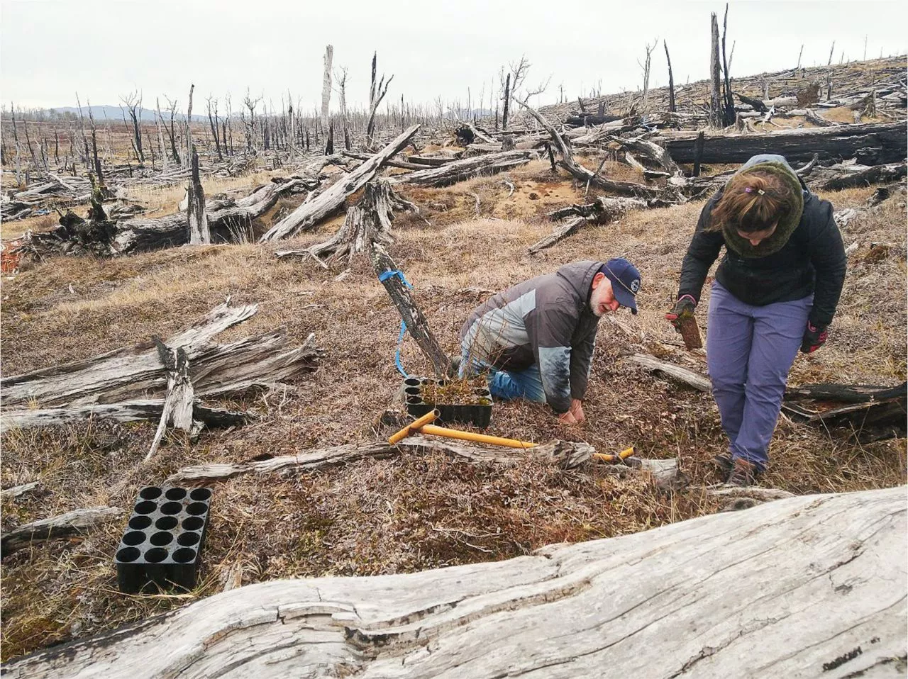 photo_2022-10-03_19-03-41