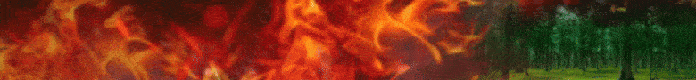 fuego_780x90