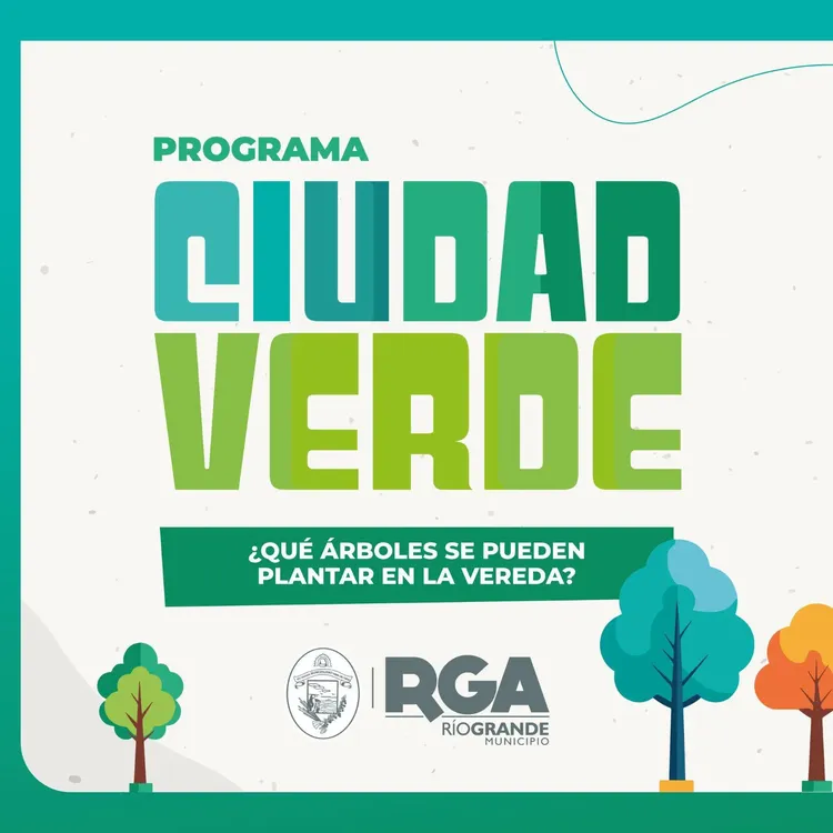 photo_2026-01-29_11-46-56