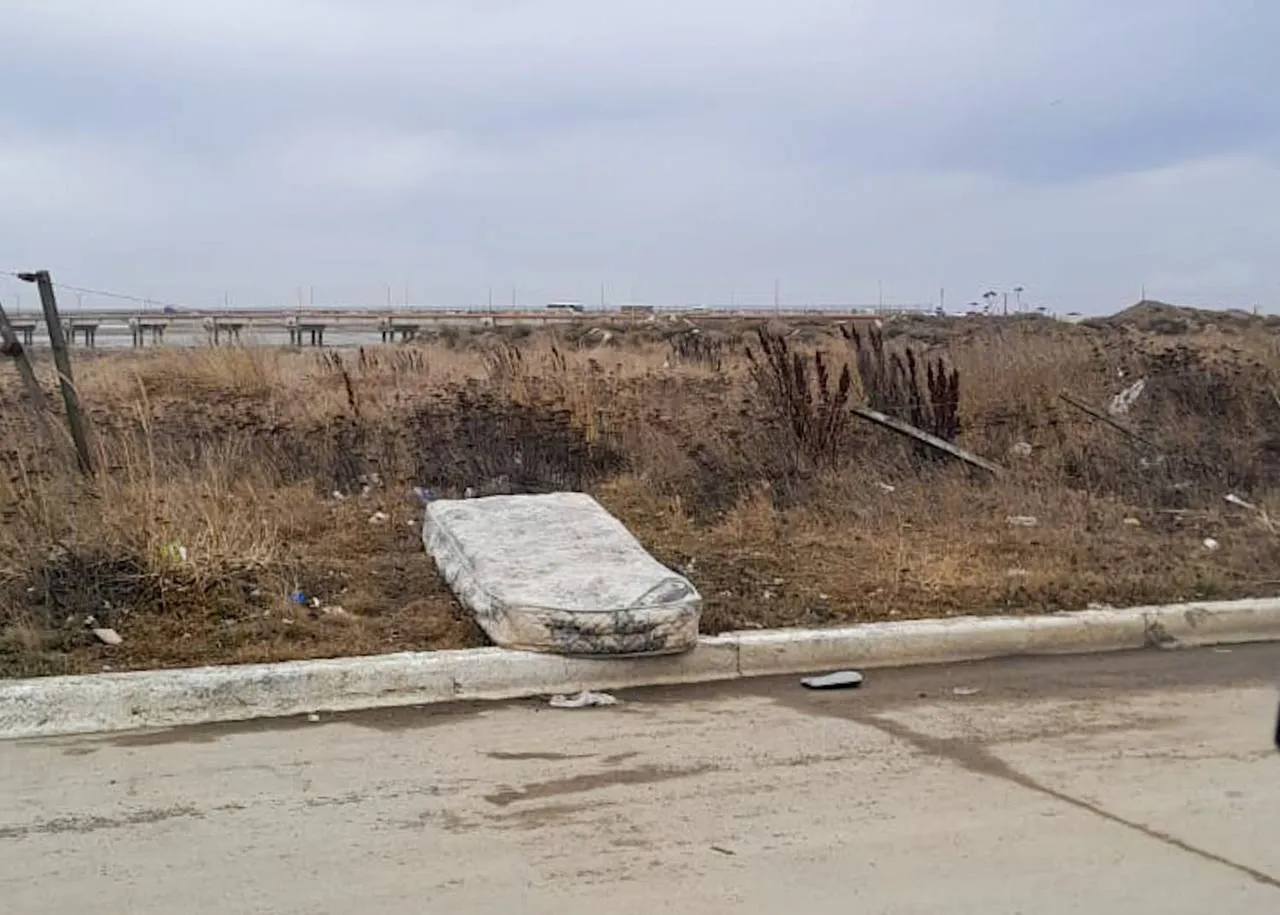 photo_2025-08-20_17-44-55