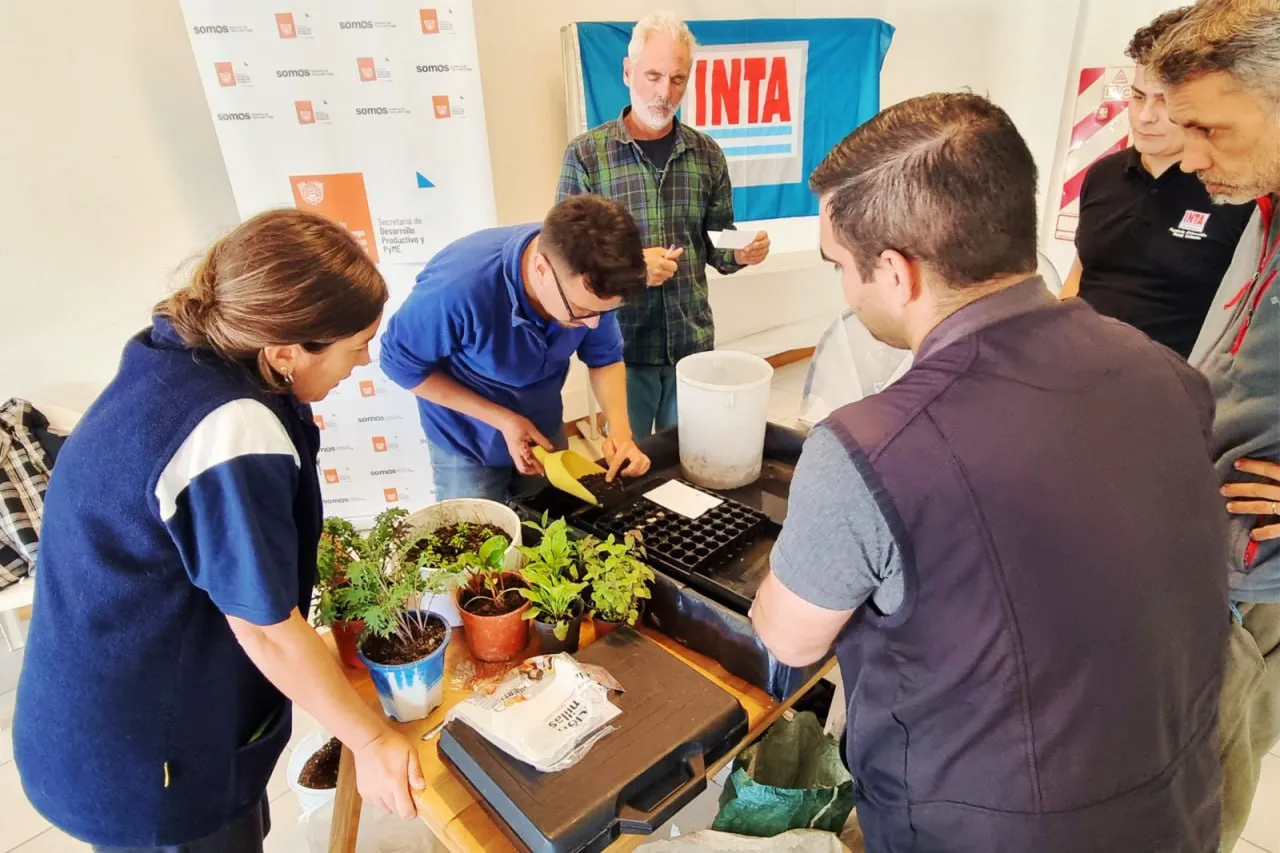 photo_2024-12-30_12-18-32