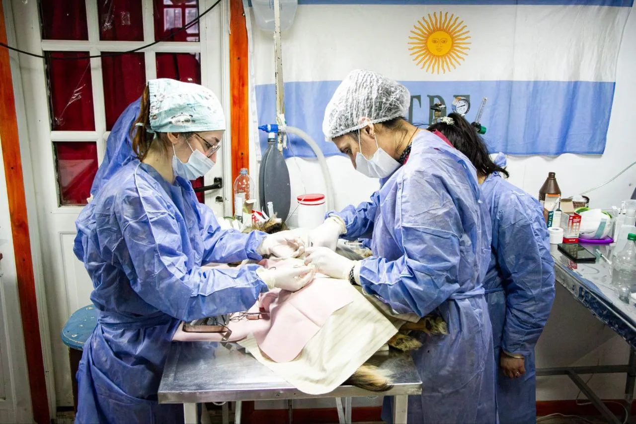 photo_2025-11-05_17-53-20