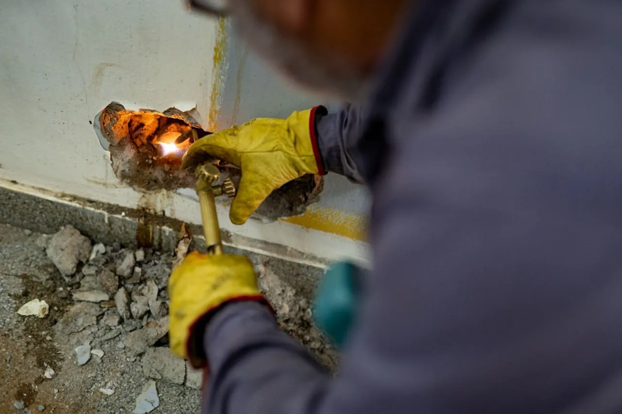 photo_2025-02-11_10-52-56