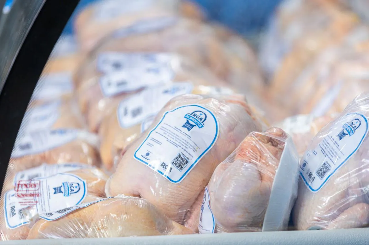 photo_2025-11-04_11-49-48