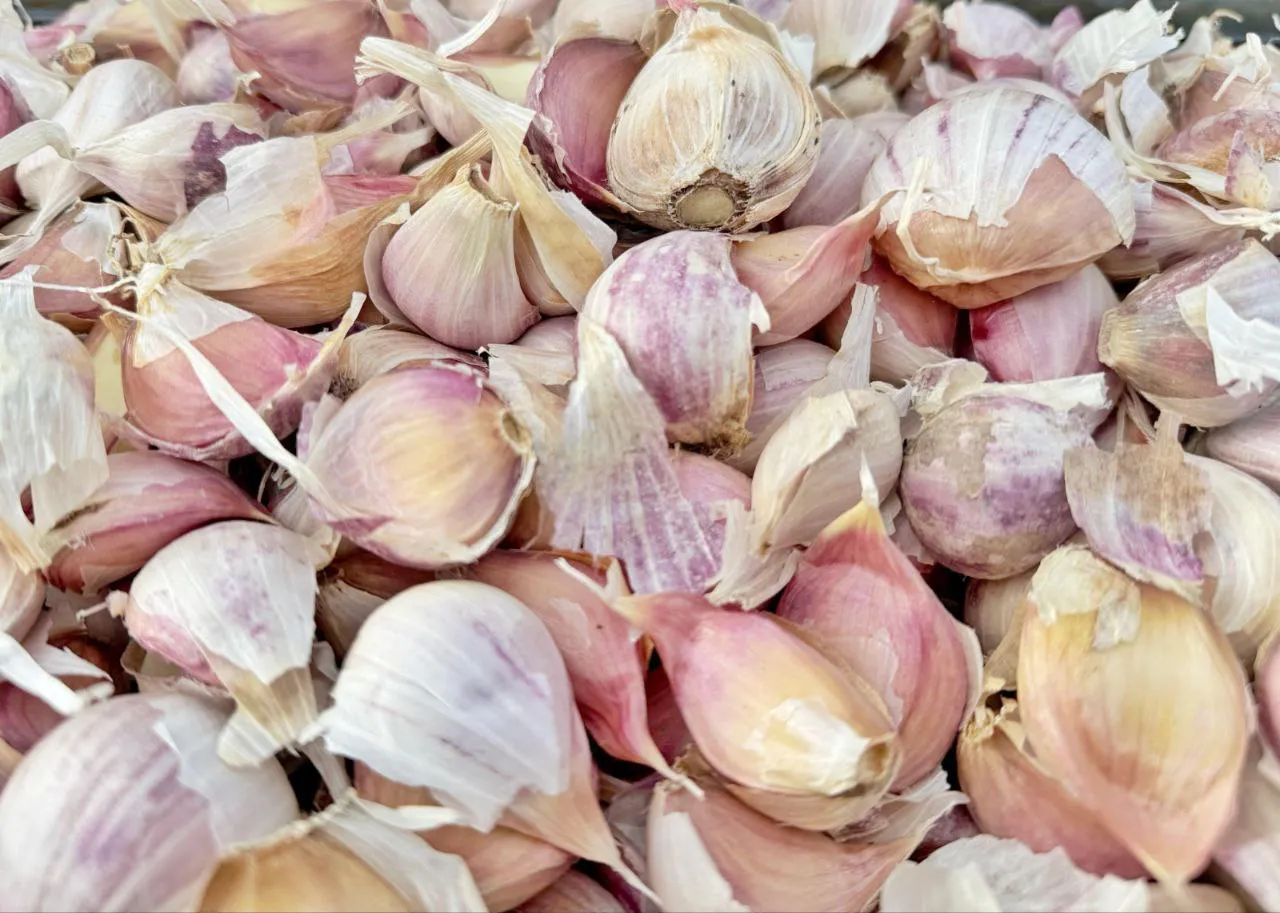 photo_2025-04-08_11-11-09