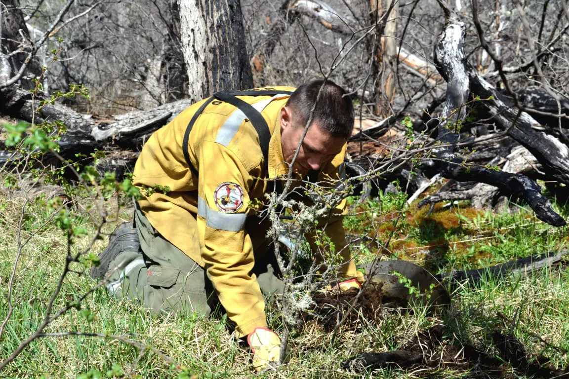 photo_2025-11-03_12-20-23